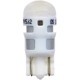Purchase Top-Quality Lumière de cendrier par SYLVANIA - 194LED.BP pa52