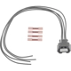 Purchase Top-Quality Audio Or Video Connector by BLUE STREAK (HYGRADE MOTOR) - S2824 pa1