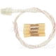 Purchase Top-Quality Connecteur audio ou vidéo de BLUE STREAK (HYGRADE MOTOR) - S1234 pa2