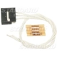 Purchase Top-Quality Audio Or Video Connector by BLUE STREAK (HYGRADE MOTOR) - S1600 pa73