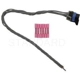 Purchase Top-Quality Audio Or Video Connector by BLUE STREAK (HYGRADE MOTOR) - S1647 pa30