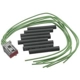 Purchase Top-Quality Audio Or Video Connector by BLUE STREAK (HYGRADE MOTOR) - S2414 pa10