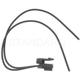 Purchase Top-Quality Audio Or Video Connector by BLUE STREAK (HYGRADE MOTOR) - S633 pa12