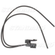 Purchase Top-Quality Audio Or Video Connector by BLUE STREAK (HYGRADE MOTOR) - S633 pa27