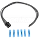 Purchase Top-Quality Audio Or Video Connector by DORMAN/TECHOICE - 645-541 pa5