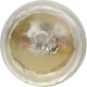 Purchase Top-Quality Auto Transmission Indicator (Pack of 10) by SYLVANIA - 1816.TP pa4