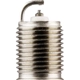 Purchase Top-Quality Autolite Double Platinum Plug (Pack of 4) by AUTOLITE - APP606 pa14