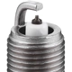 Purchase Top-Quality Autolite Double Platinum Plug (Pack of 4) by AUTOLITE - APP103 pa11