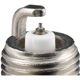 Purchase Top-Quality Autolite Double Platinum Plug (Pack of 4) by AUTOLITE - APP5325 pa9