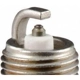 Purchase Top-Quality Autolite Double Platinum Plug by AUTOLITE - APP5503 pa2