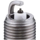 Purchase Top-Quality Autolite Double Platinum Plug (Pack of 4) by AUTOLITE - APP606 pa7