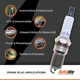 Purchase Top-Quality AUTOLITE - XP5224 - Autolite Iridium XP Plug (Pack of 4) pa12