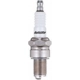 Purchase Top-Quality Autolite Resistor Plug by AUTOLITE - 4063 pa1