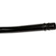 Purchase Top-Quality DORMAN - 921-080 - Automatic Transmission Dipstick Tube pa4