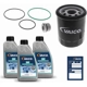 Purchase Top-Quality Automatic Transmission Filter Kit by VAICO - V58-0004 pa1