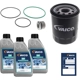 Purchase Top-Quality Automatic Transmission Filter Kit by VAICO - V58-0004 pa2