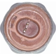 Purchase Top-Quality Automatic Transmission Oil Pressure Switch by VEMO - V26-73-0059 pa3