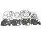 Purchase Top-Quality Automatic Transmission Overhaul Sealing Kit by PIONEER - 750002 pa3