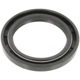 Purchase Top-Quality Automatic Transmission Rear Seal by SKF - 13857 pa13