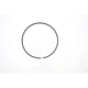 Purchase Top-Quality Automatic Transmission Sealing Ring by PIONEER - 761016 pa2