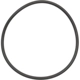Purchase Top-Quality Axle Hub O-Ring by DANA SPICER - 47893 pa1