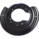 Purchase Top-Quality SKP - SK924230R - Rear Brake Backing Plate pa2