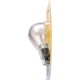 Purchase Top-Quality Lumière de reculon par PHILIPS - 3155B2 pa21