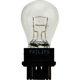 Purchase Top-Quality Backup Light by PHILIPS - 3157B2 pa14