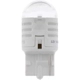 Purchase Top-Quality Backup Light by PHILIPS - 7440WLED pa31