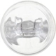 Purchase Top-Quality Backup Light by PHILIPS - 7443CP pa34