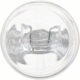 Purchase Top-Quality Backup Light by PHILIPS - 7443CP pa44