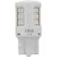 Purchase Top-Quality Backup Light by PHILIPS - 7443RLED pa17