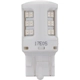 Purchase Top-Quality Backup Light by PHILIPS - 7443RLED pa2