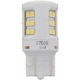 Purchase Top-Quality Backup Light by PHILIPS - 7443WLED pa41