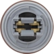 Purchase Top-Quality Backup Light Socket by BLUE STREAK (HYGRADE MOTOR) - S2643 pa1