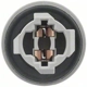 Purchase Top-Quality Backup Light Socket by BLUE STREAK (HYGRADE MOTOR) - HP3995 pa18