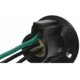 Purchase Top-Quality Backup Light Socket by BLUE STREAK (HYGRADE MOTOR) - HP4030 pa1