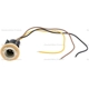 Purchase Top-Quality Backup Light Socket by BLUE STREAK (HYGRADE MOTOR) - HP4110 pa1