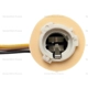 Purchase Top-Quality Backup Light Socket by BLUE STREAK (HYGRADE MOTOR) - HP4110 pa2