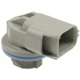 Purchase Top-Quality Backup Light Socket by BLUE STREAK (HYGRADE MOTOR) - HP4245 pa11