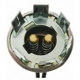 Purchase Top-Quality Backup Light Socket by BLUE STREAK (HYGRADE MOTOR) - HP4570 pa18