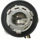 Purchase Top-Quality Backup Light Socket by BLUE STREAK (HYGRADE MOTOR) - HP4660 pa22
