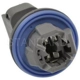 Purchase Top-Quality Backup Light Socket by BLUE STREAK (HYGRADE MOTOR) - S1836 pa1