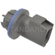 Purchase Top-Quality Backup Light Socket by BLUE STREAK (HYGRADE MOTOR) - S1836 pa11