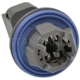 Purchase Top-Quality Backup Light Socket by BLUE STREAK (HYGRADE MOTOR) - S1836 pa7