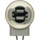 Purchase Top-Quality Backup Light Socket by BLUE STREAK (HYGRADE MOTOR) - S1881 pa8