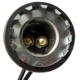 Purchase Top-Quality Backup Light Socket by BLUE STREAK (HYGRADE MOTOR) - S29 pa10