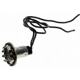 Purchase Top-Quality Backup Light Socket by BLUE STREAK (HYGRADE MOTOR) - S29 pa12