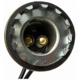 Purchase Top-Quality Backup Light Socket by BLUE STREAK (HYGRADE MOTOR) - S29 pa9