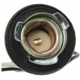 Purchase Top-Quality Backup Light Socket by BLUE STREAK (HYGRADE MOTOR) - S501 pa26